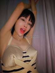 Shemale-TS203-2366528 